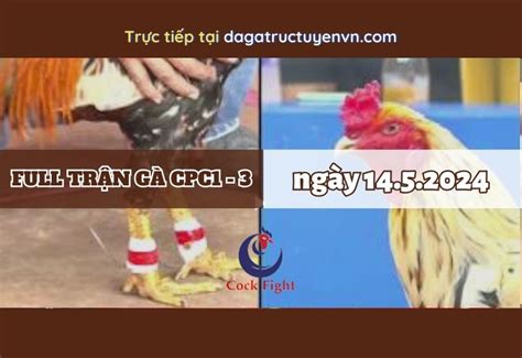 dagatructuyenvn.com|Đá Gà Trực Tuyến 14/5/2024 .